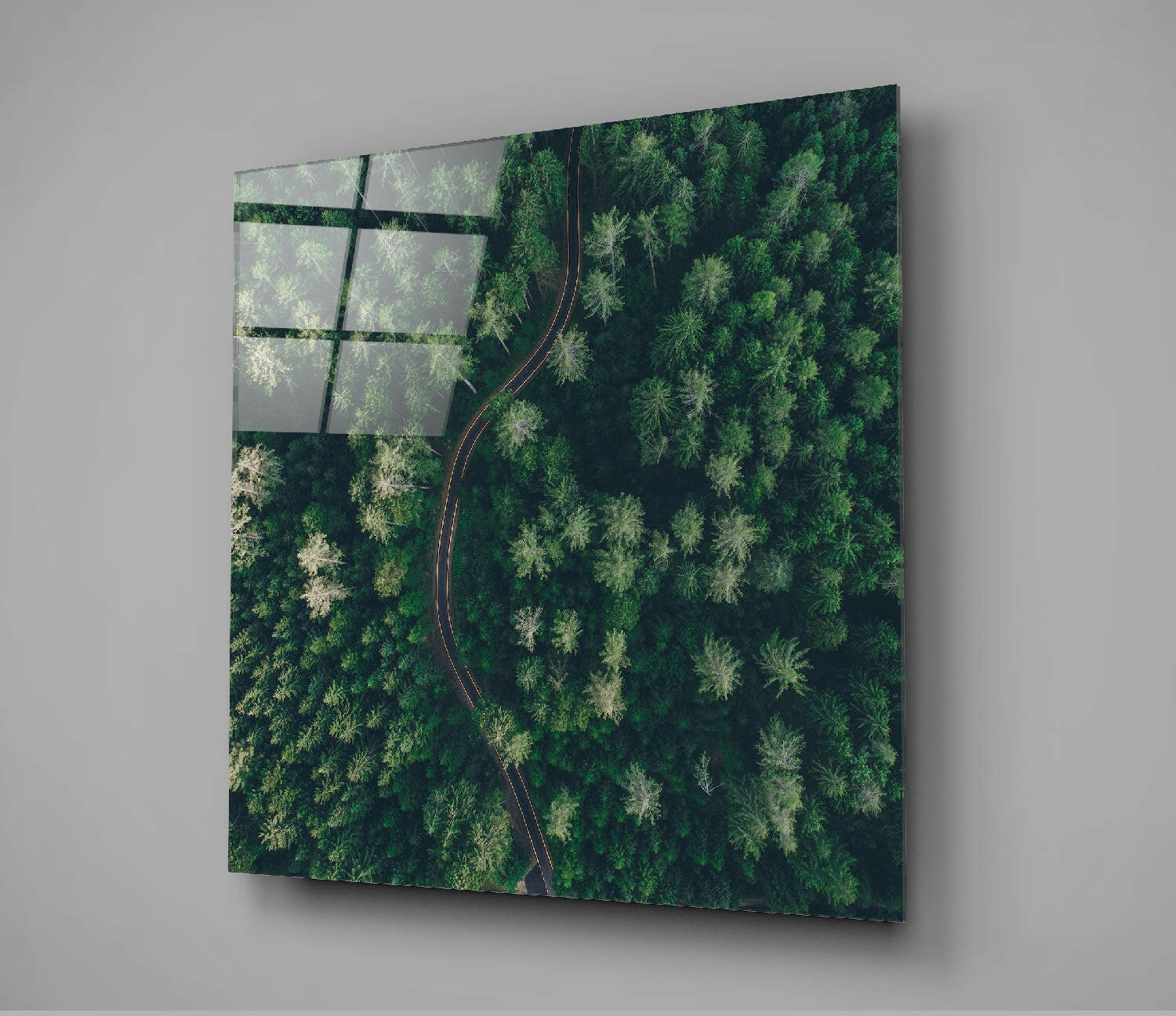 Forest Road Glass Wall Art.