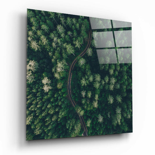 Forest Road Glass Wall Art.