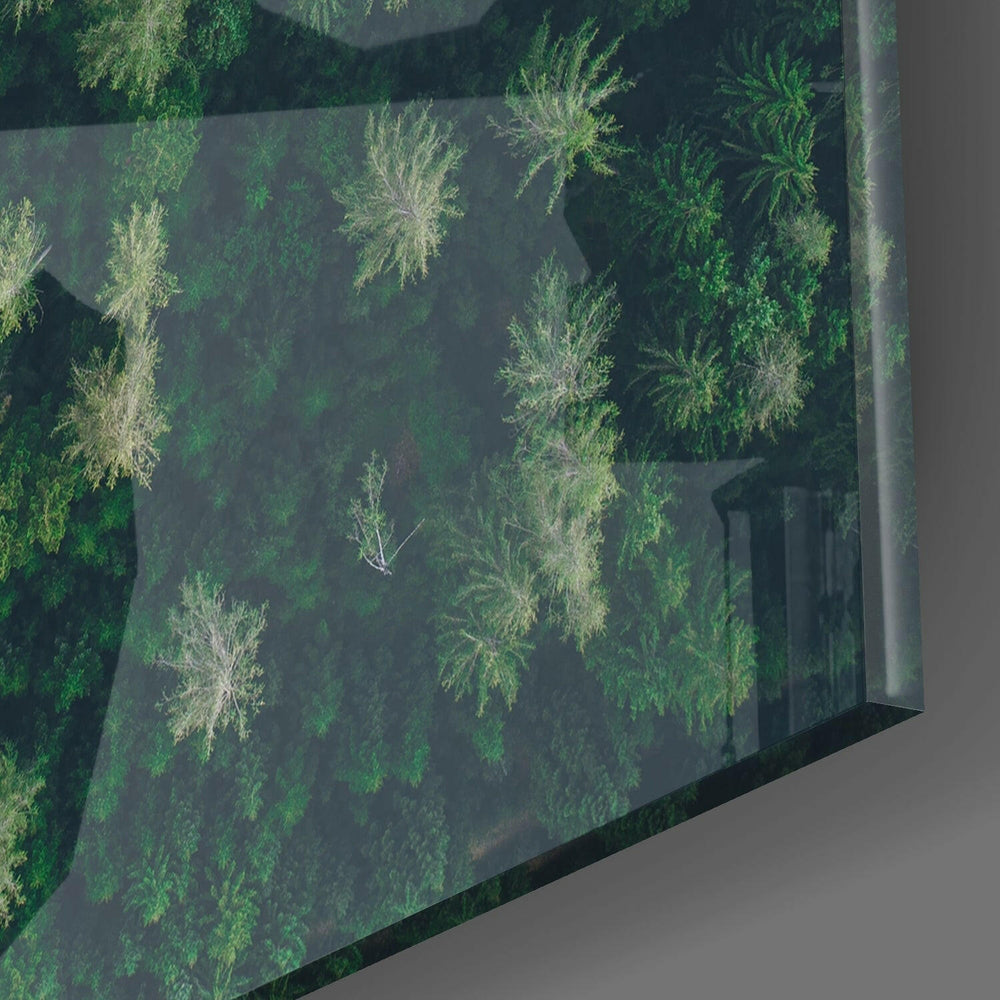 Forest Road Glass Wall Art.
