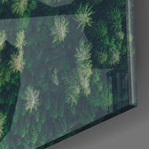 Forest Road Glass Wall Art.