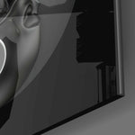 Black and White Glass Wall Art.