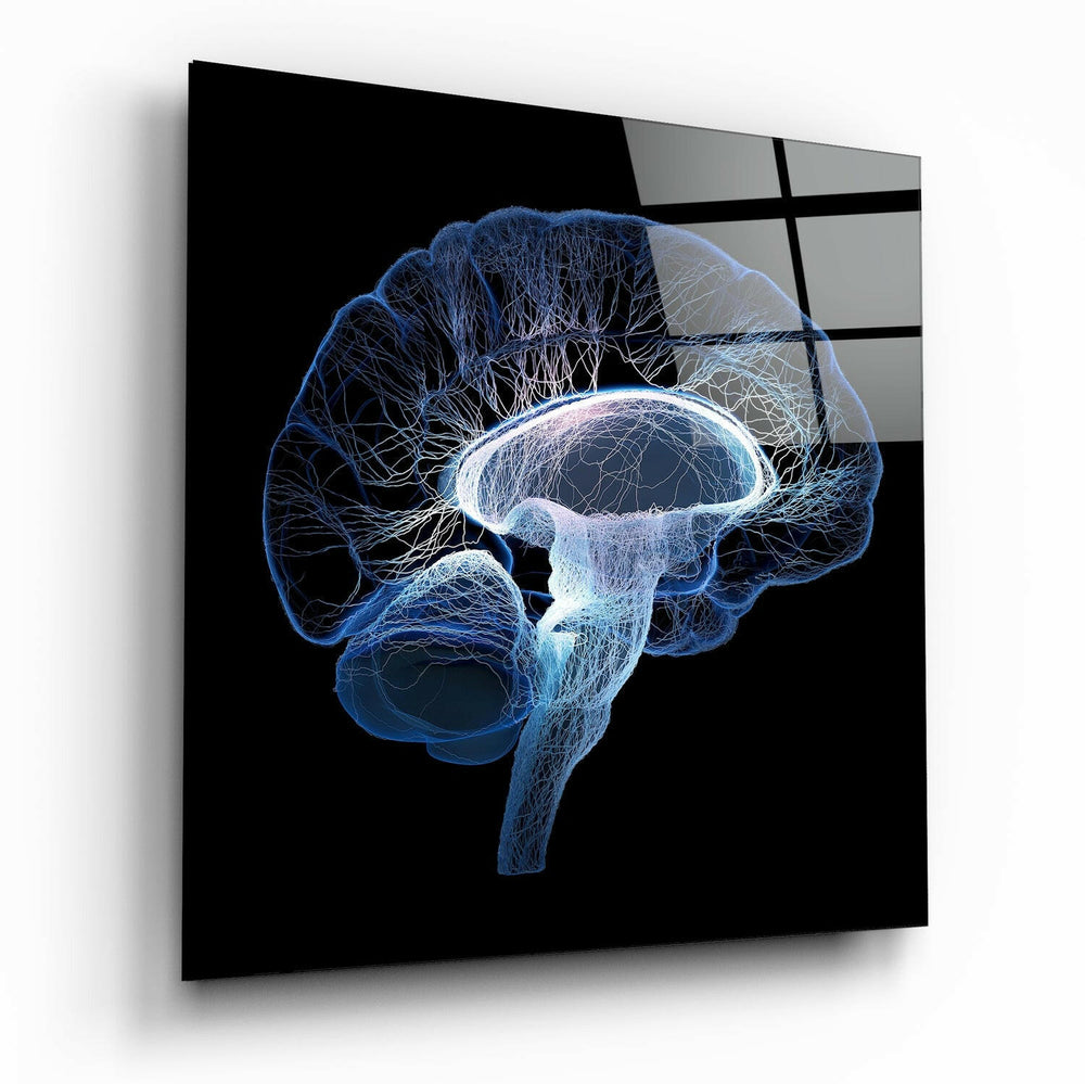 Brain Glass Wall Art | Insigne Art Design.