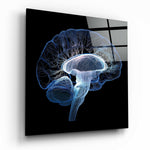 Brain Glass Wall Art | Insigne Art Design.