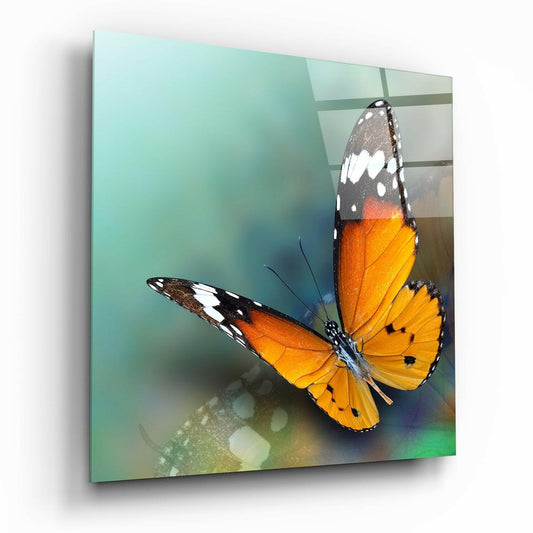 Butterfly Glass Wall Art | Insigne Art Design.
