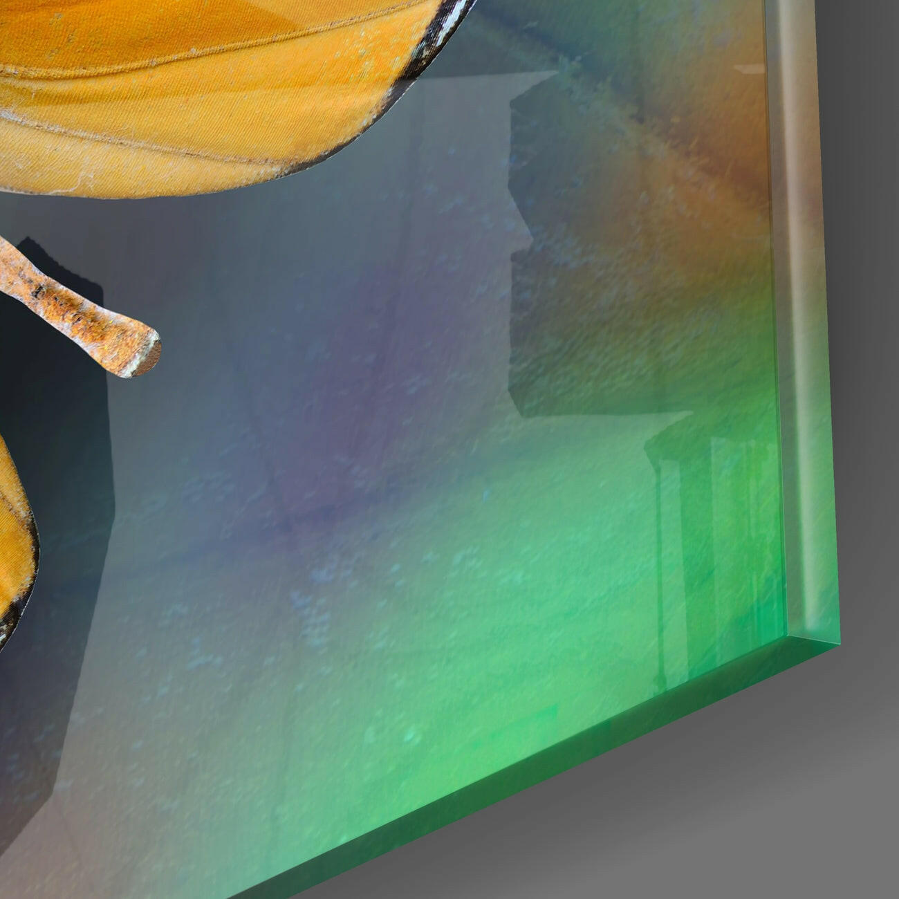 Butterfly Glass Wall Art | Insigne Art Design.