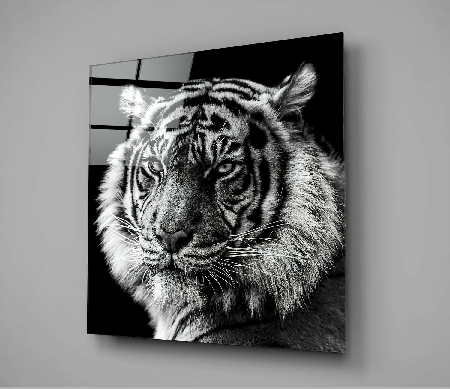 Tiger's Look Glass Wall Art | Insigne Art Design.