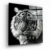 Tiger's Look Glass Wall Art | Insigne Art Design.