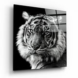Tiger's Look Glass Wall Art | Insigne Art Design