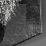 Tiger's Look Glass Wall Art | Insigne Art Design.