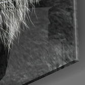 Tiger's Look Glass Wall Art | Insigne Art Design.