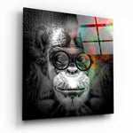 Wise Monkey Glass Wall Art | Insigne Art Design.