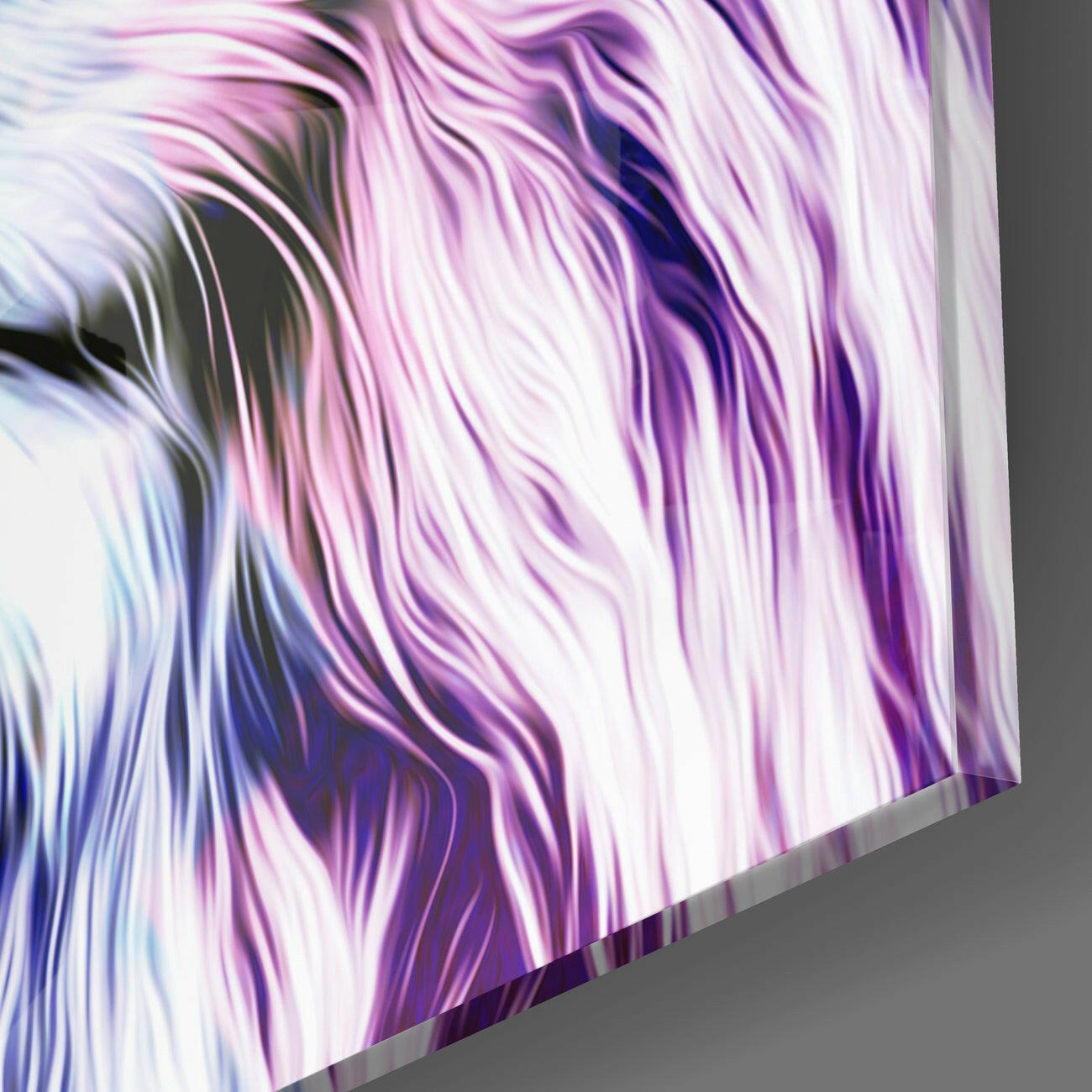 Lion Glass Wall Art | Insigne Art Design.