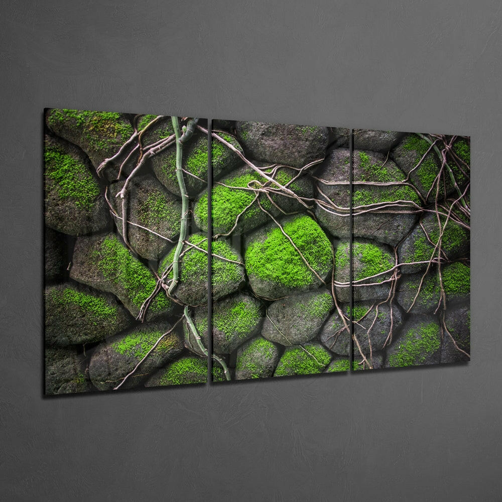 Mossy Stones Mega Glass Wall Art.