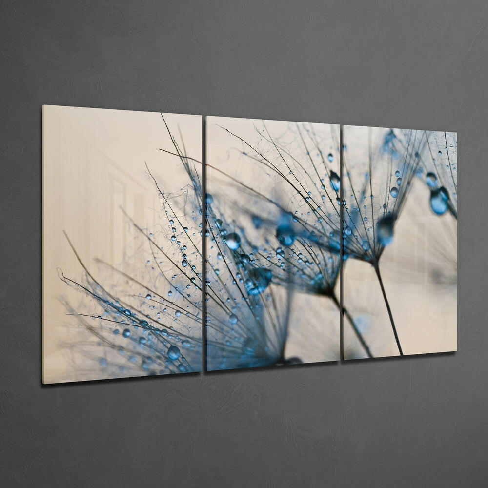 Dandelion Mega Glass Wall Art.