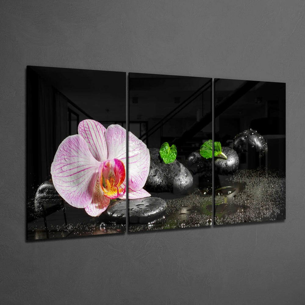 Orchid Mega Glass Wall Art.