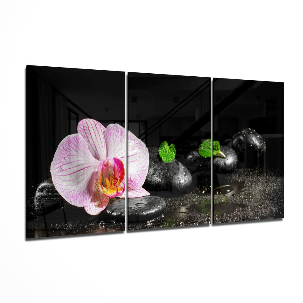 Orchid Mega Glass Wall Art | Insigne Art Design