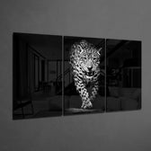 Leopard in the Dark Mega Glass Wall Art.