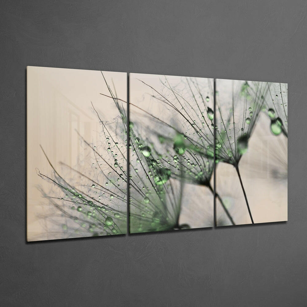 Green Dandelion Glass Wall Art.