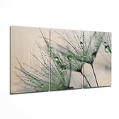 Green Dandelion Glass Wall Art.