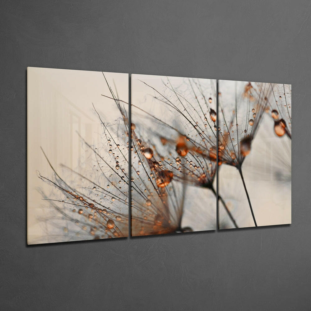 Cinnamon Dandelion Glass Wall Art.