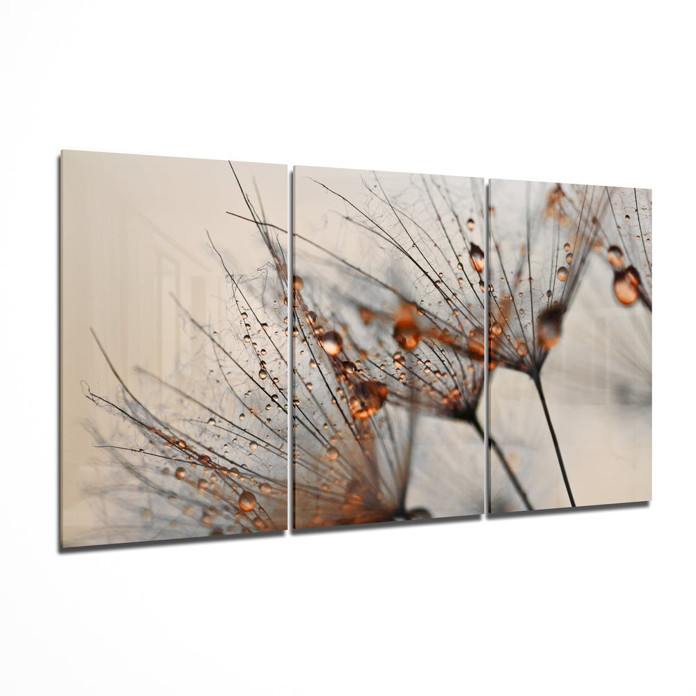 Cinnamon Dandelion Glass Wall Art | Insigne Art Design