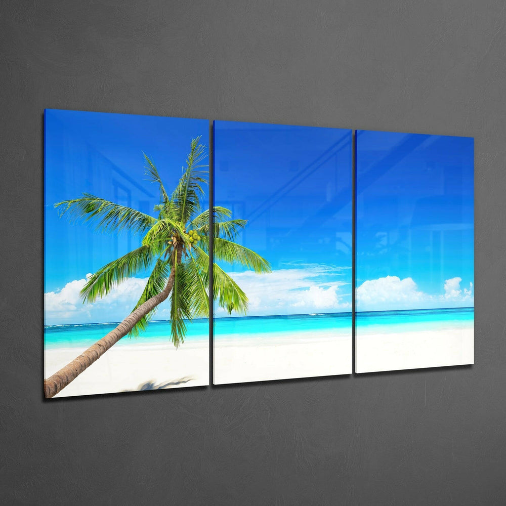 Palm Glass Wall Art on the Beach.