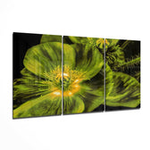 Flower Glass Wall Art.
