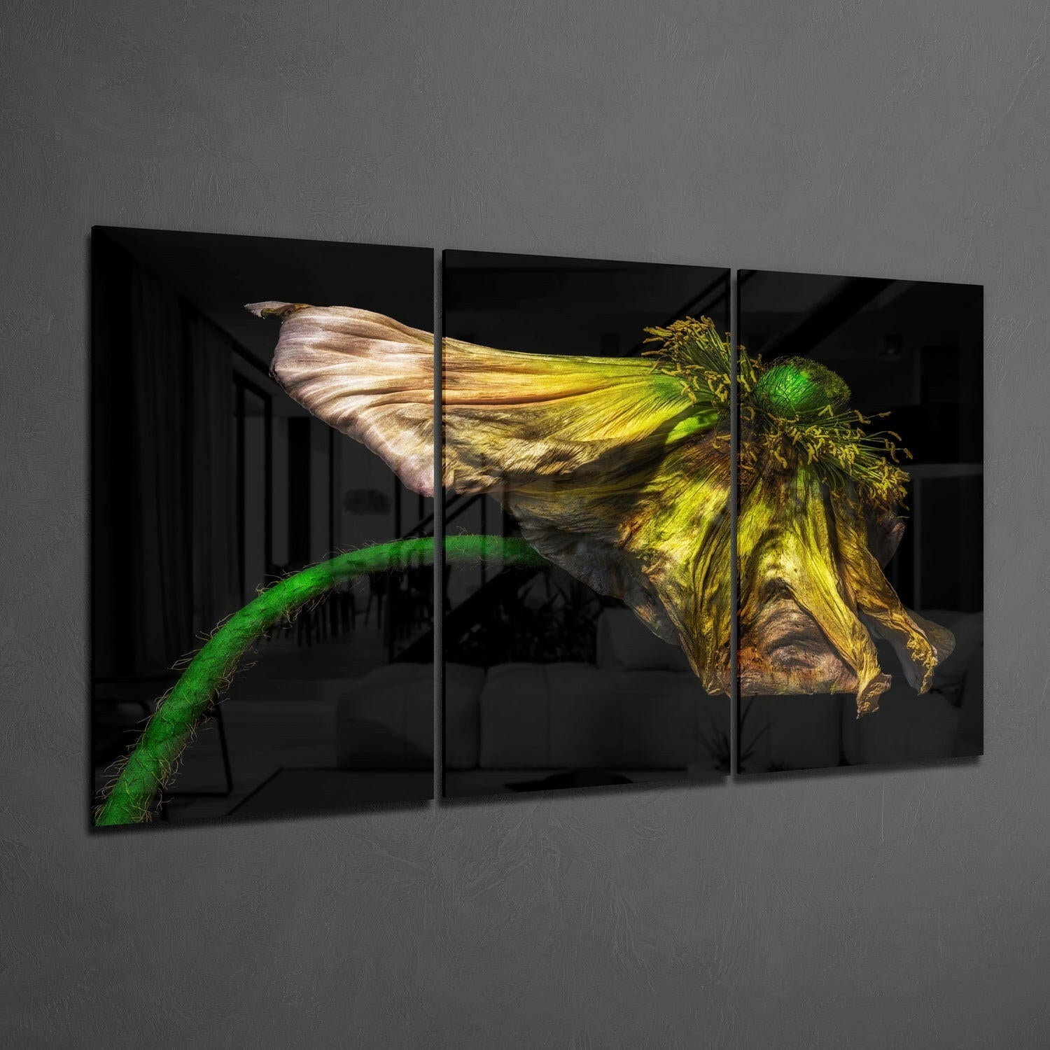 Macro Flower Glass Wall Art.