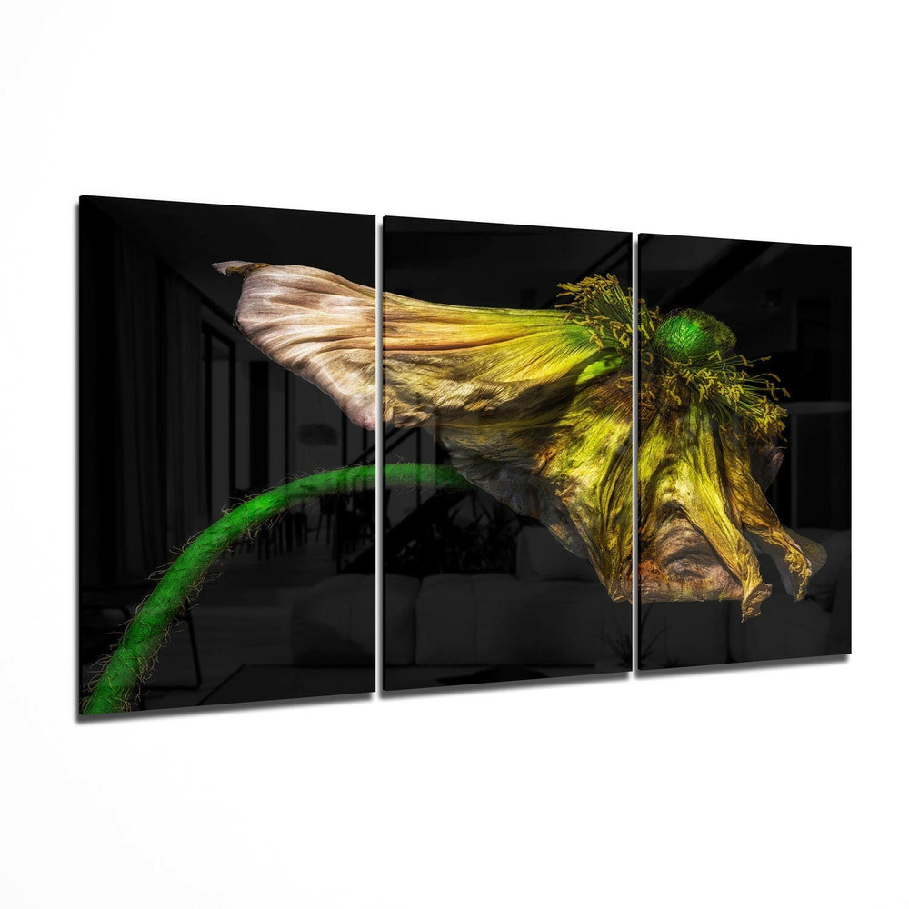 Macro Flower Glass Wall Art.