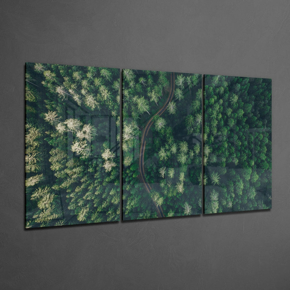 Forest Glass Wall Art.