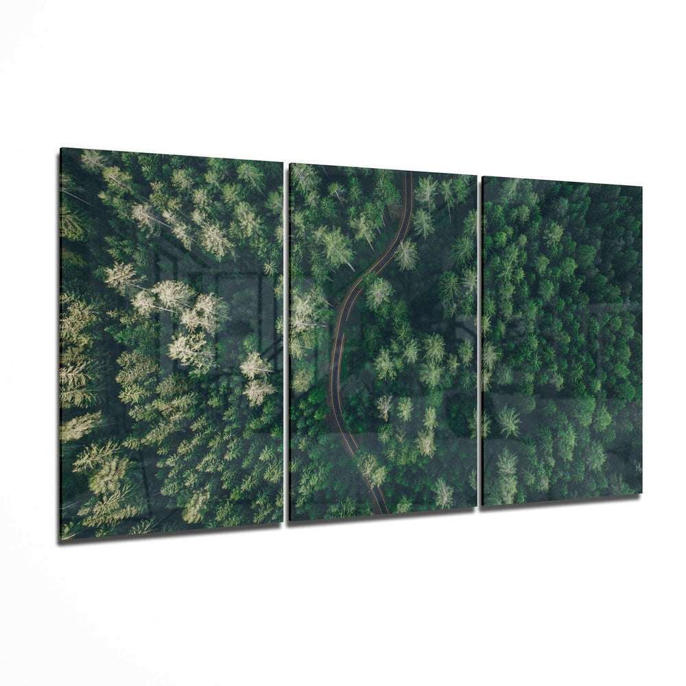 Forest Glass Wall Art.