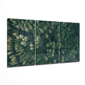 Forest Glass Wall Art.