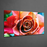 Rose Glass Wall Art | Insigne Art Design