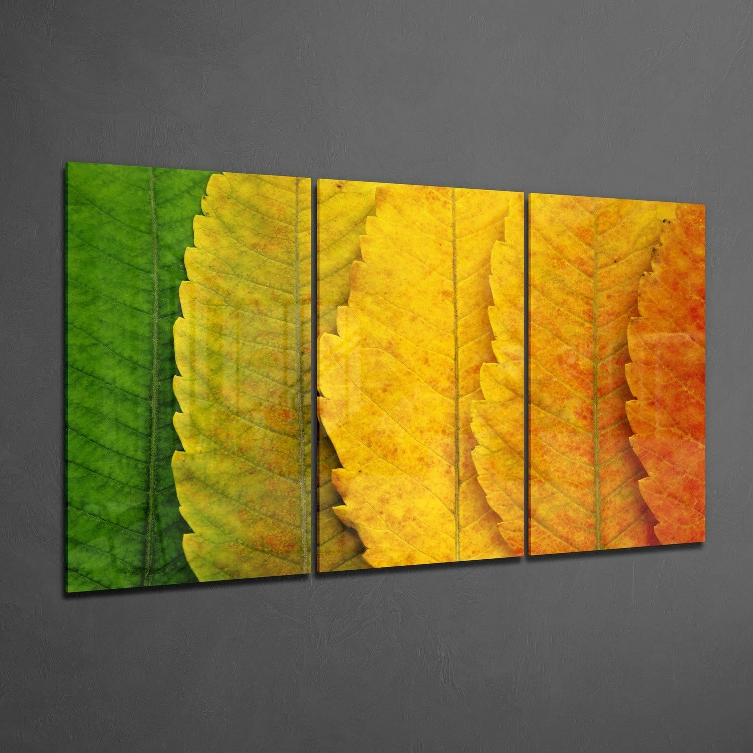 Autumn Leaves Glass Wall Art.