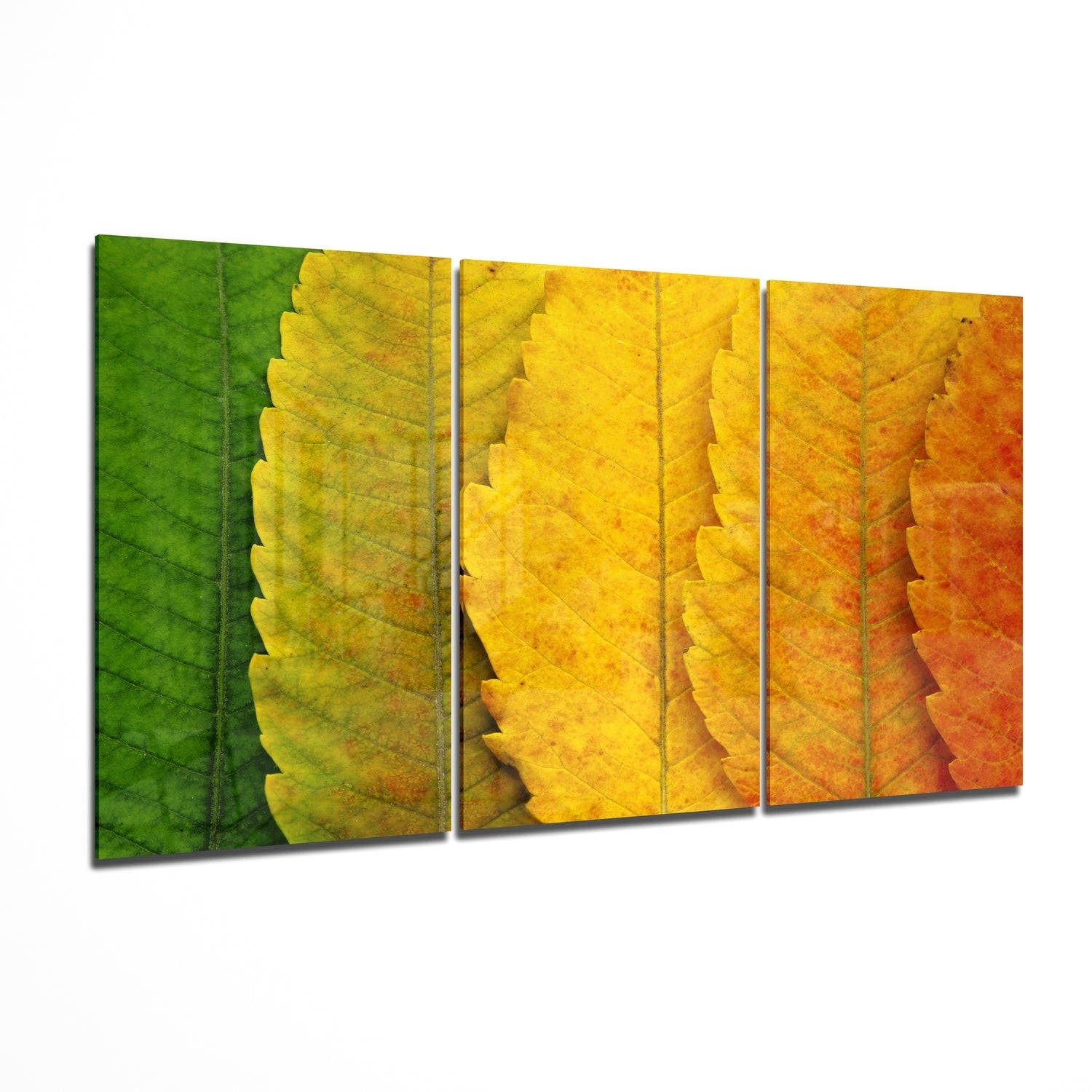 Autumn Leaves Glass Wall Art | Insigne Art Design
