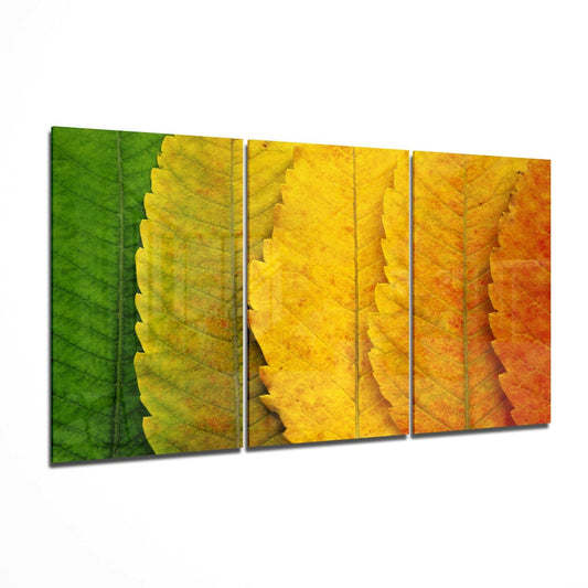 Autumn Leaves Glass Wall Art.