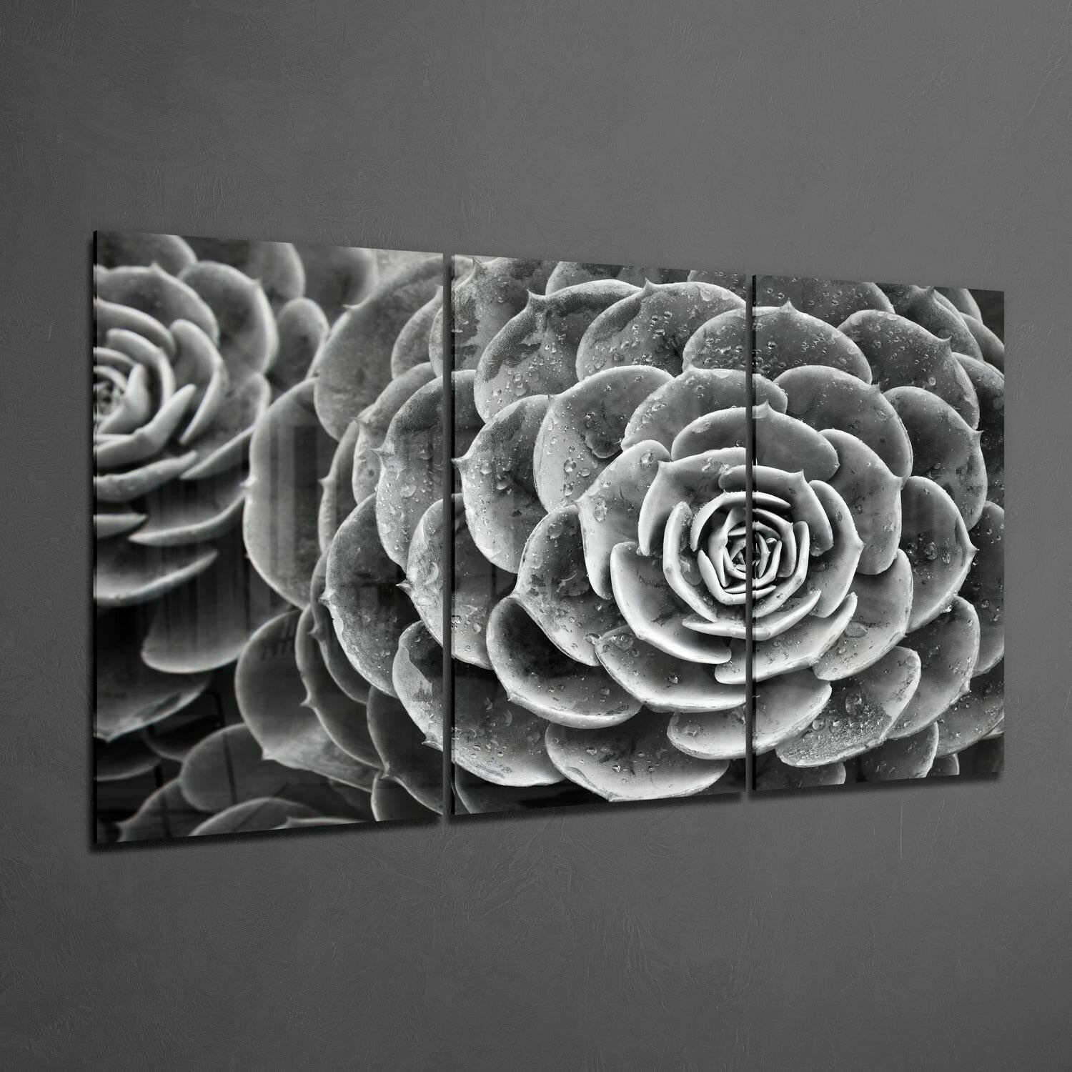Succulent Glass Wall Art.