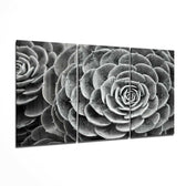Succulent Glass Wall Art.