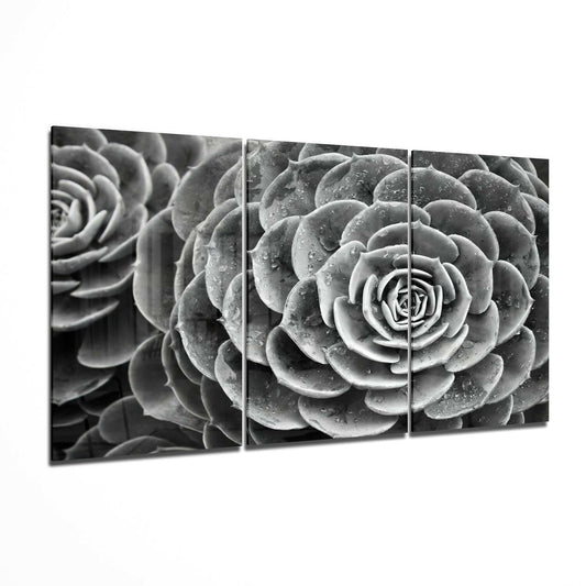 Succulent Glass Wall Art.