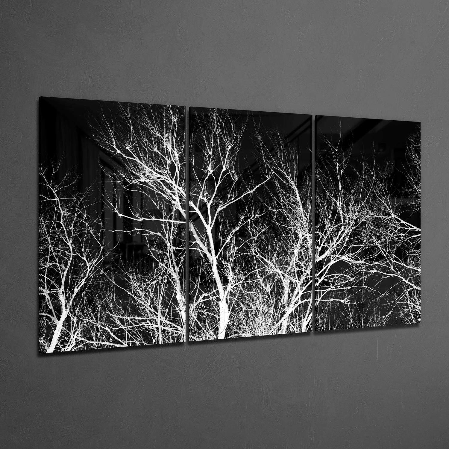 Branches Glass Wall Art.