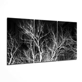 Branches Glass Wall Art.