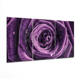 Rose Glass Wall Art | Insigne Art Design