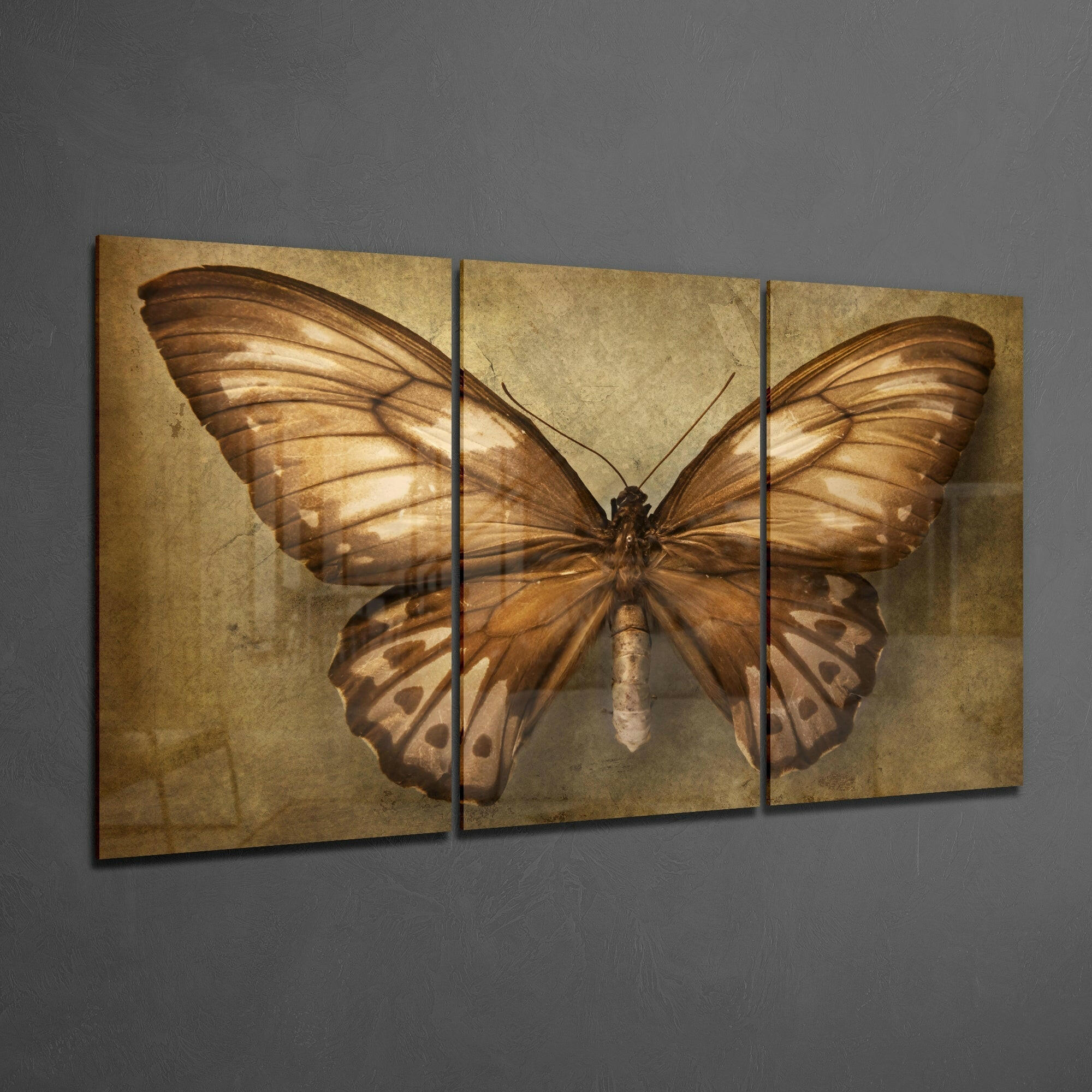 Butterfly Glass Art.