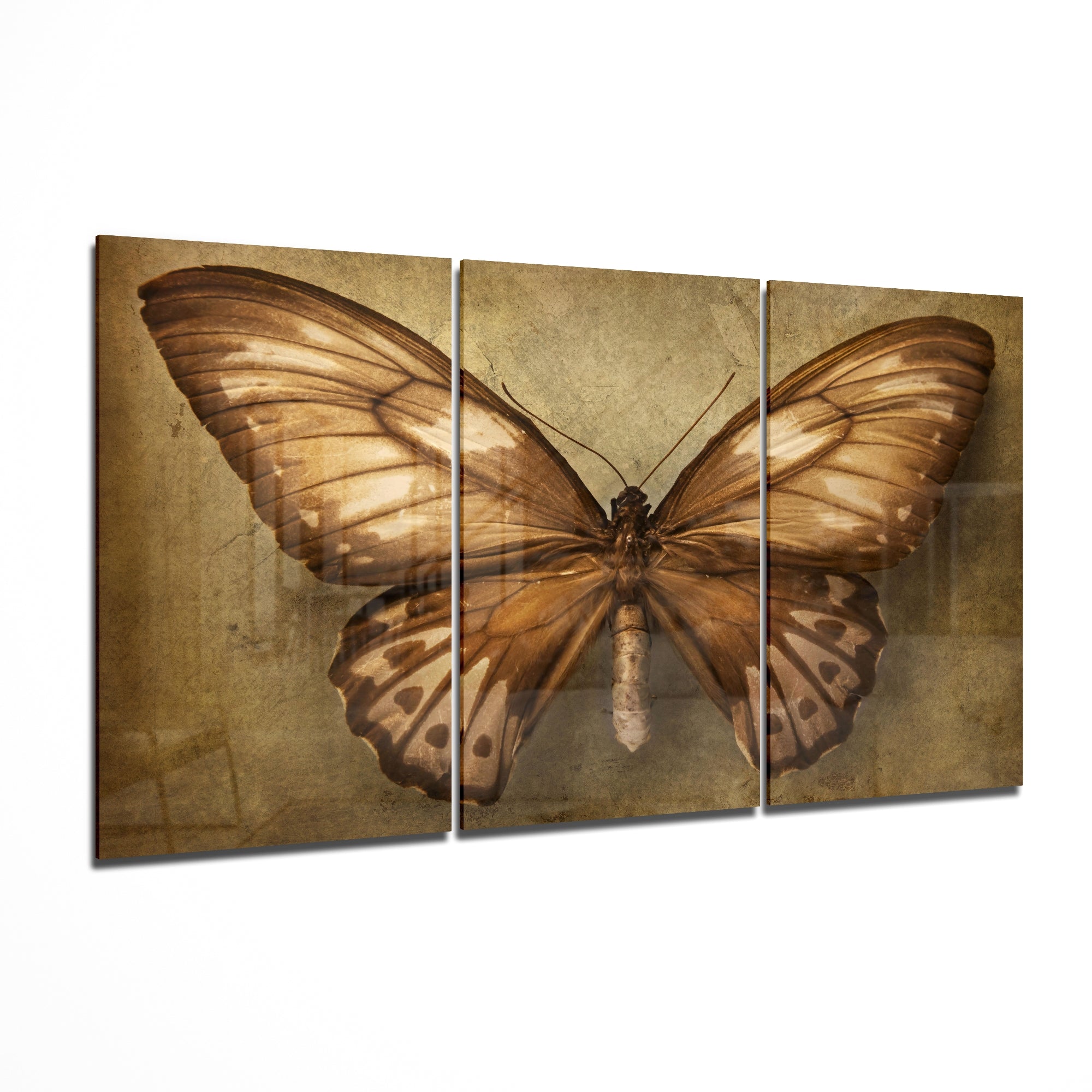 Butterfly Glass Art | Insigne Art Design
