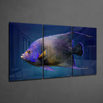 Queen Angel Fish Glass Art.
