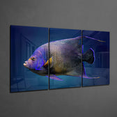 Queen Angel Fish Glass Art.