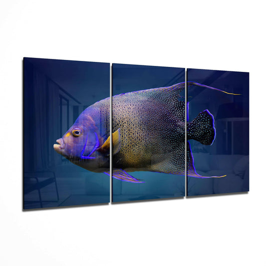 Queen Angel Fish Glass Art.