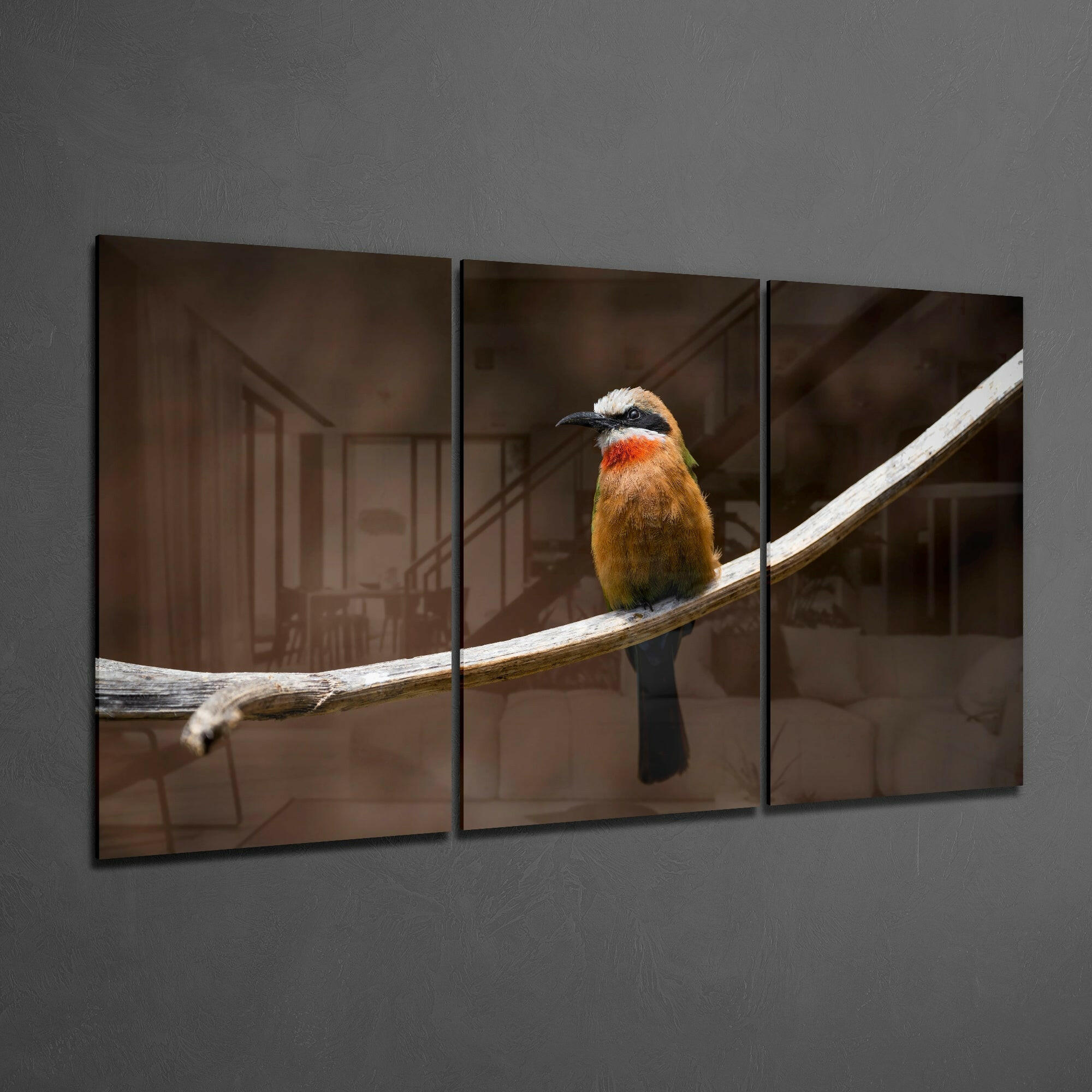 Bee-eater Glass Art.