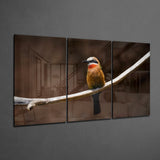 Bee-eater Glass Art | Insigne Art Design