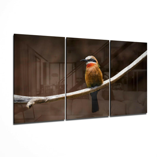 Bee-eater Glass Art.
